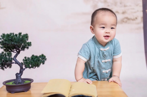 平邑可爱的企鹅宝宝